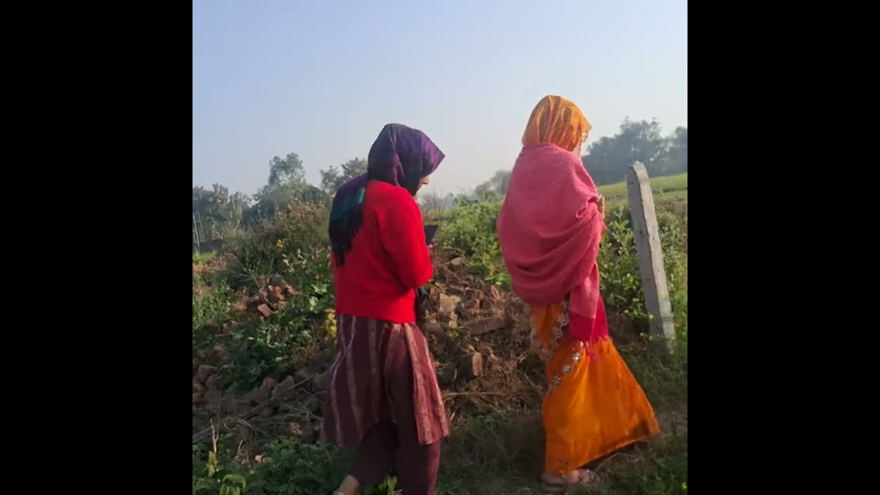 मै और मेरी देवरानी आए है अपने घूमने 🥦🫛🥔🥬🥰🥰🥰