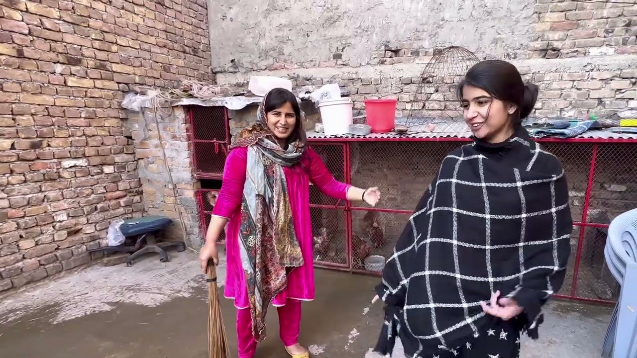 Aj Mama Ruknay Ka Naam Hi Nahi Le Rahi 😱 | Full Safai Day | Desi Family Vlog