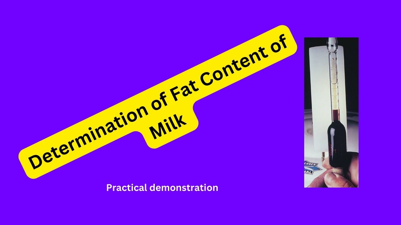 Determination of fat content of milk by Gerber's method|Gerber's Butyrometer||microbiology practical