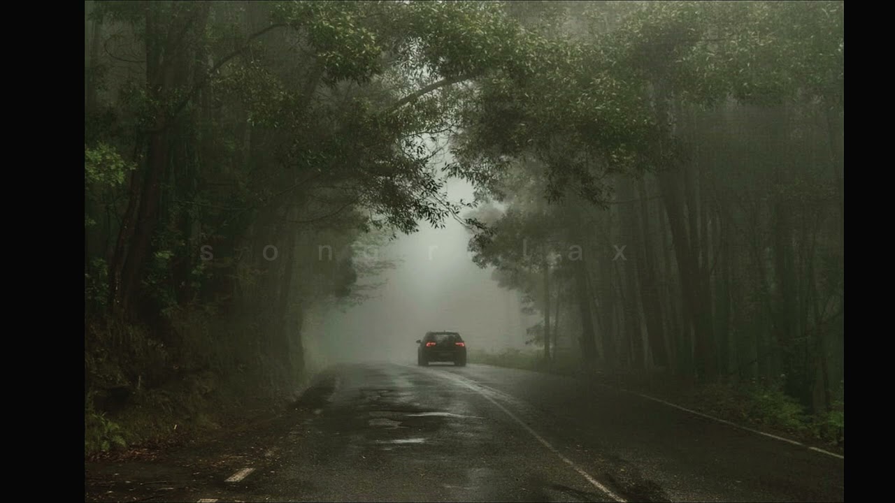 Rosyln - Bon Iver & St. Vicent ( 1 hour )