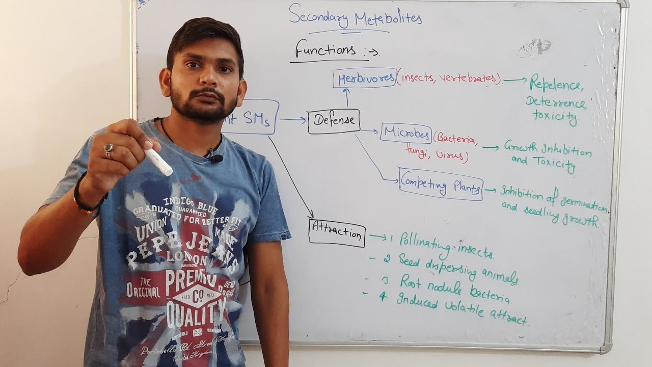 Plants Secondary Metabolites||CSIR NET| In Hindi