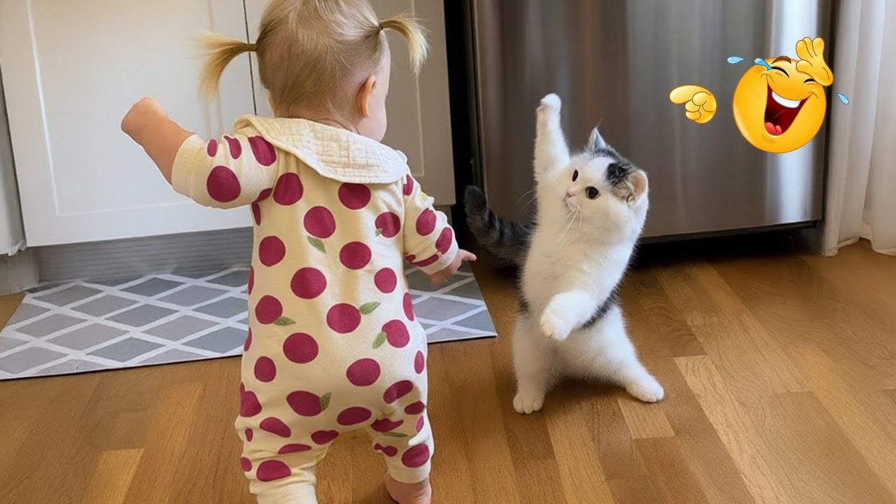 You Laugh You Lose 😂😹 | Ultimate Funny Cat Compilation