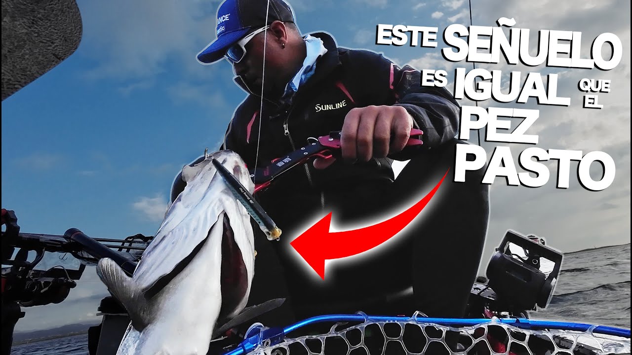 PESCA DE LUBINAS A SUPERFÍCIE ✅ |DESDE KAYAK🛶|