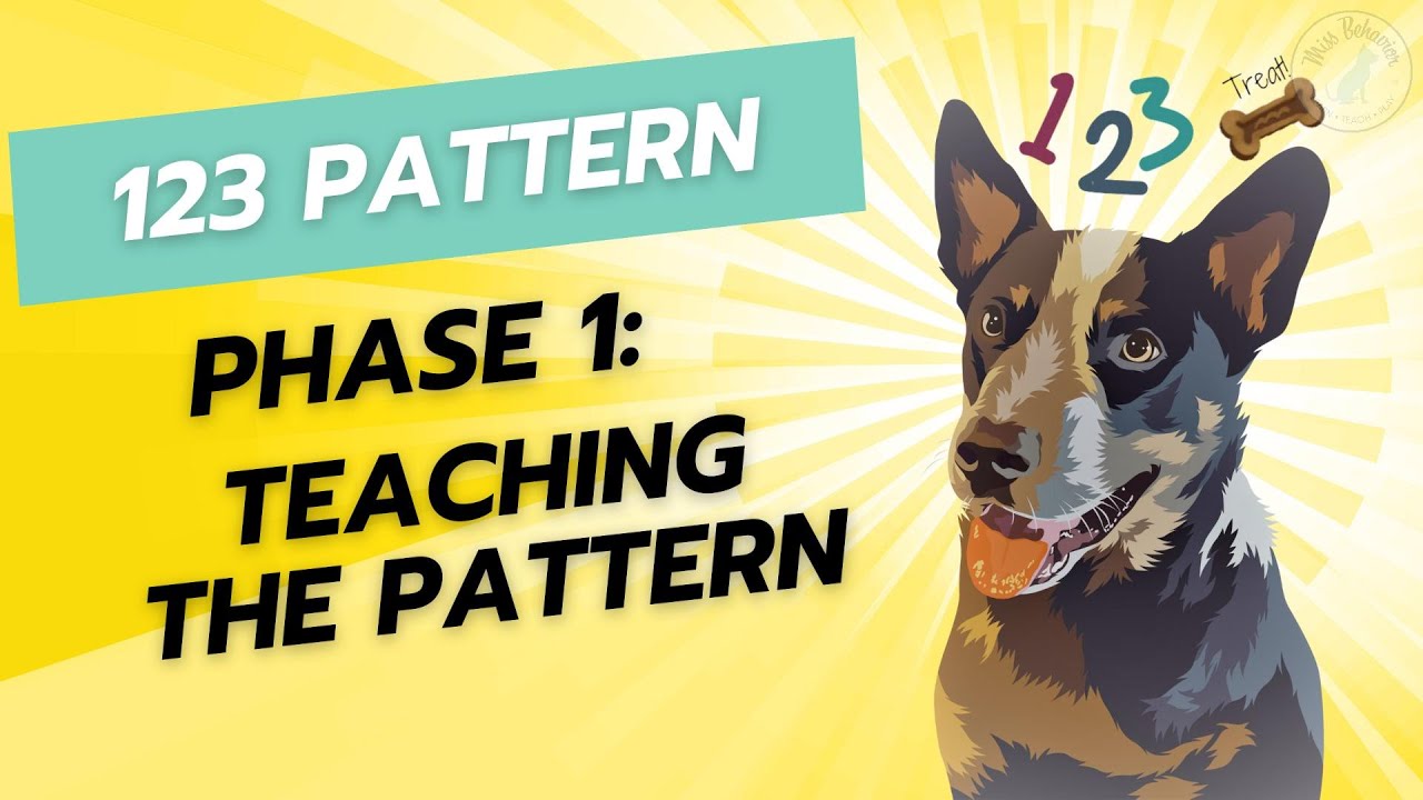 123 Pattern Game: Teaching the pattern (Phase 1)