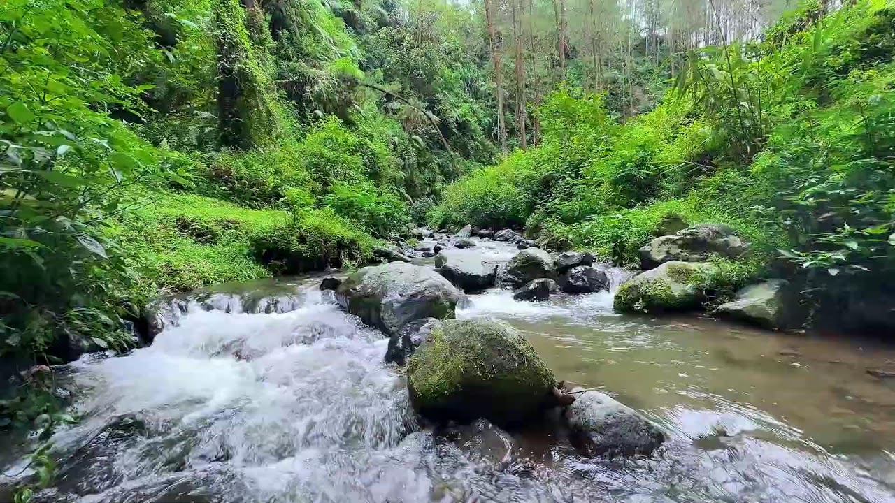 Soft river sound in calm peaceful woodland air helping your mind rest in deeper deep sleep