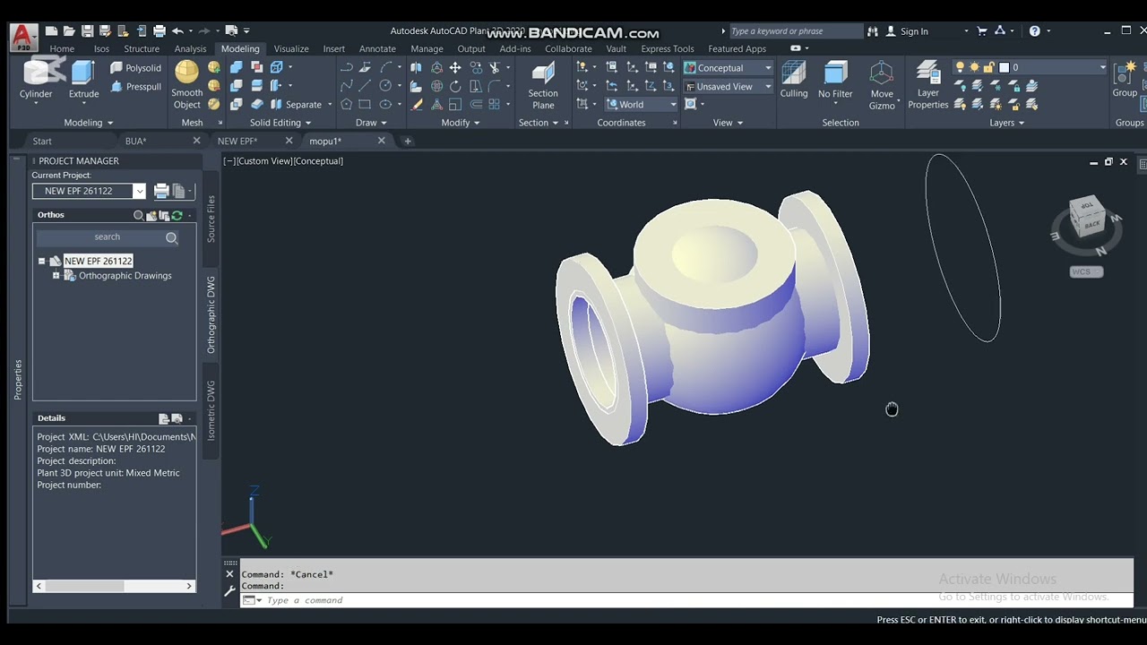 HOW TO MODEL A CHECK VALVE AND USE FOR DESIGN
