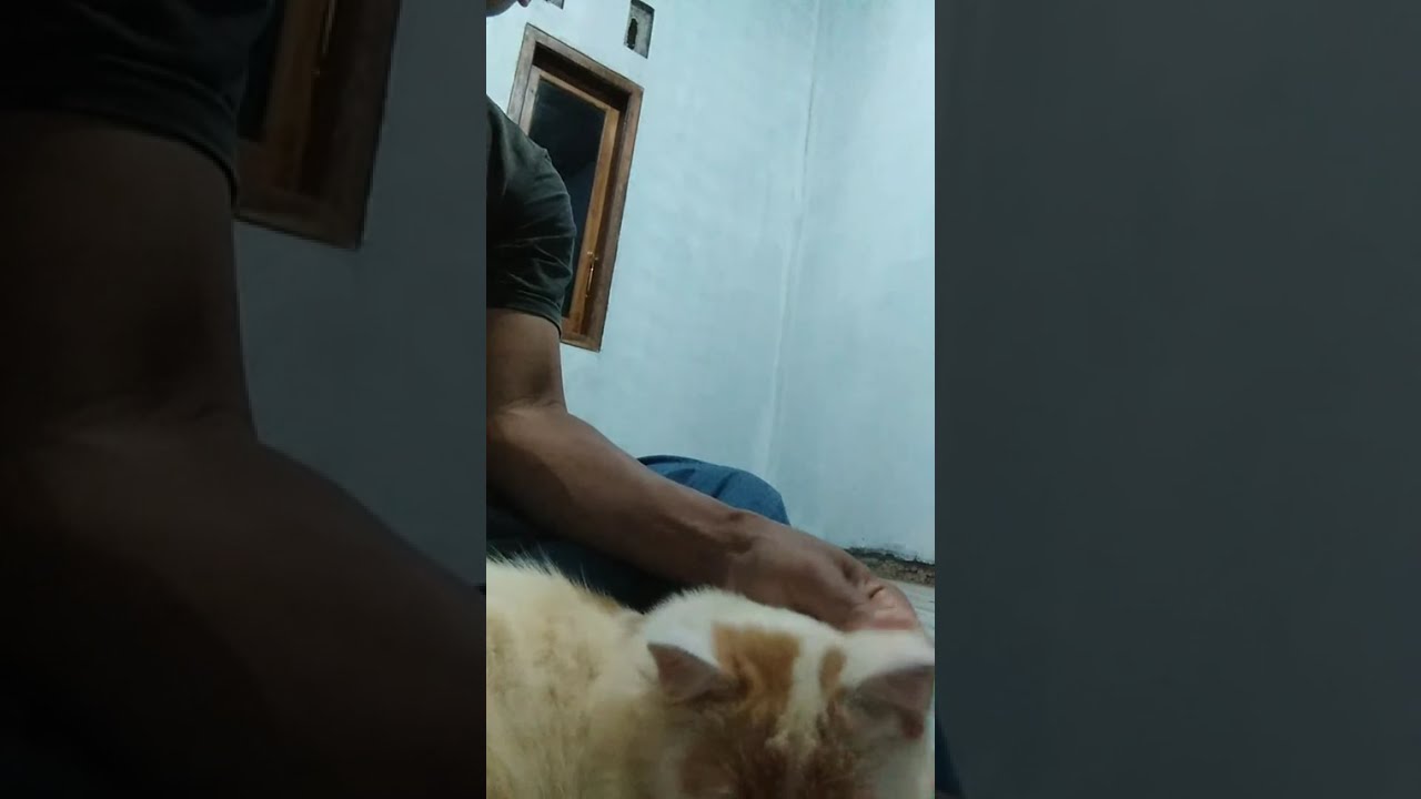 ciko