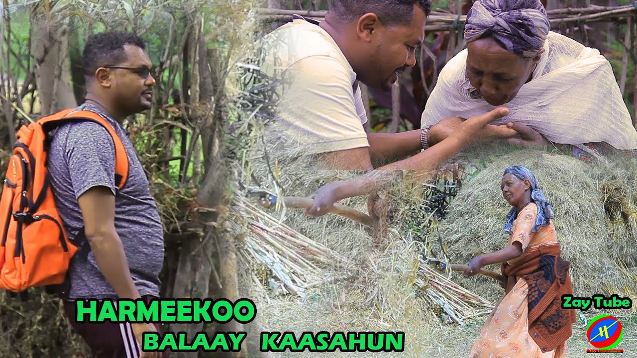 Balaay Kaasahun - Harmeekoo - New Ethiopian Music video - 2020 Best Oromoo Clip by Belay Kasahun