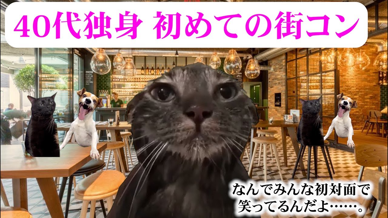 【猫ミーム】40代独身 街コンに参加