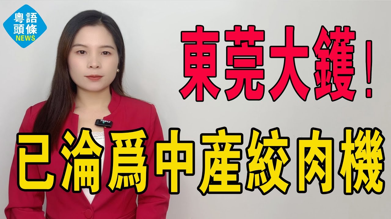 東莞大鑊！4萬炒房客一夜暴負，全被套牢！屋價腰斬，市場一片暗淡。東莞樓市已徹底淪為「中產絞肉機」！你以為買的是一磚一瓦？錯！是親手將半生血汗推進焚化爐。#房地產 #東莞 #東莞樓盤 #港人北上 #房價