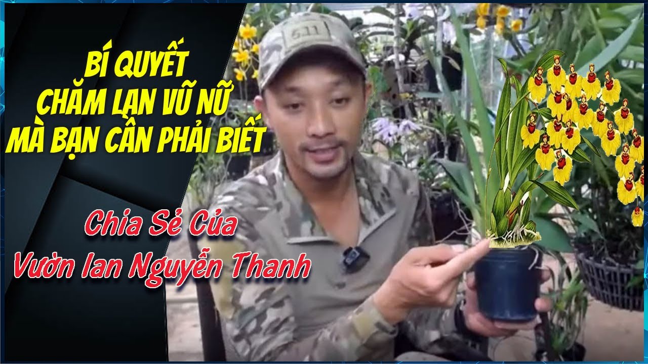 B&iacute; Quyết Chăm Lan Vũ Nữ M&agrave; Bạn cần Phải Biết - Vườn Lan Nguyễn Thanh