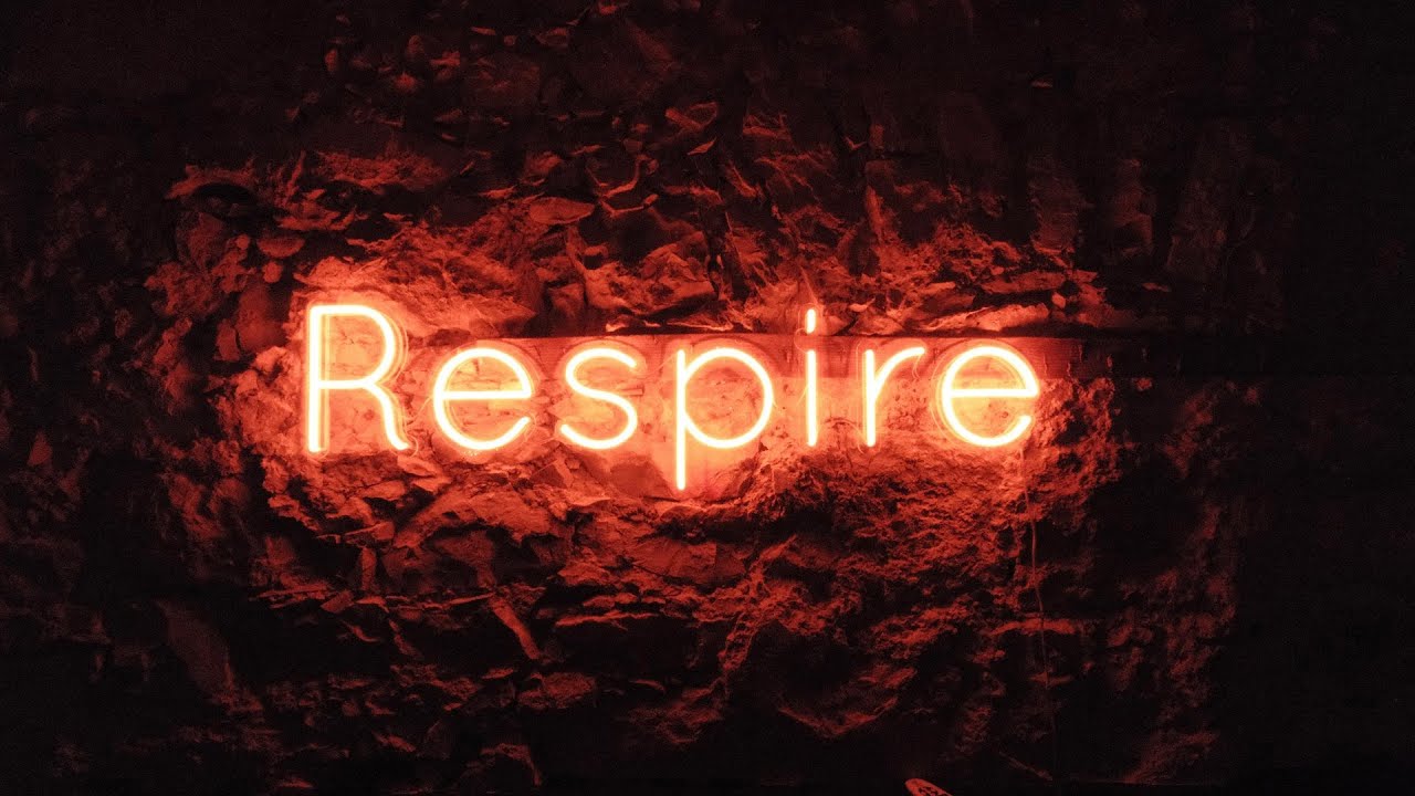 Séance de reprise
