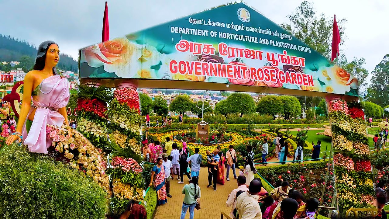ஊட்டி சுற்றுலா - அழகிய ரோஜா பூங்கா | Rose Garden | Ooty Tourism | Nilgiris | gptamil vlogz