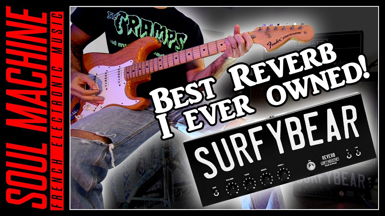 Surfy Industries - SURFYBEAR METAL - Clone of the Fender 6G15 Spring Reverb Tank!