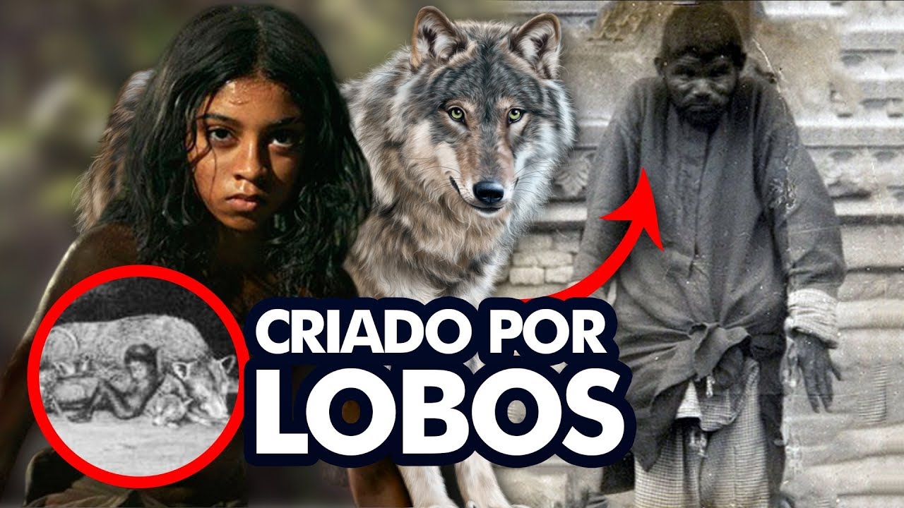 Mogli foi baseado na história real de um ‘garoto lobo’ indiano
