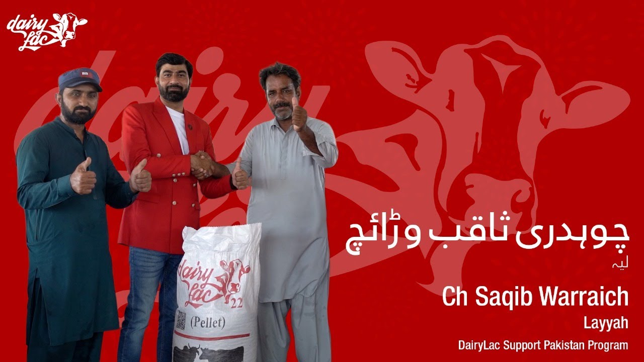 CH Saqib Warraich - Layyah