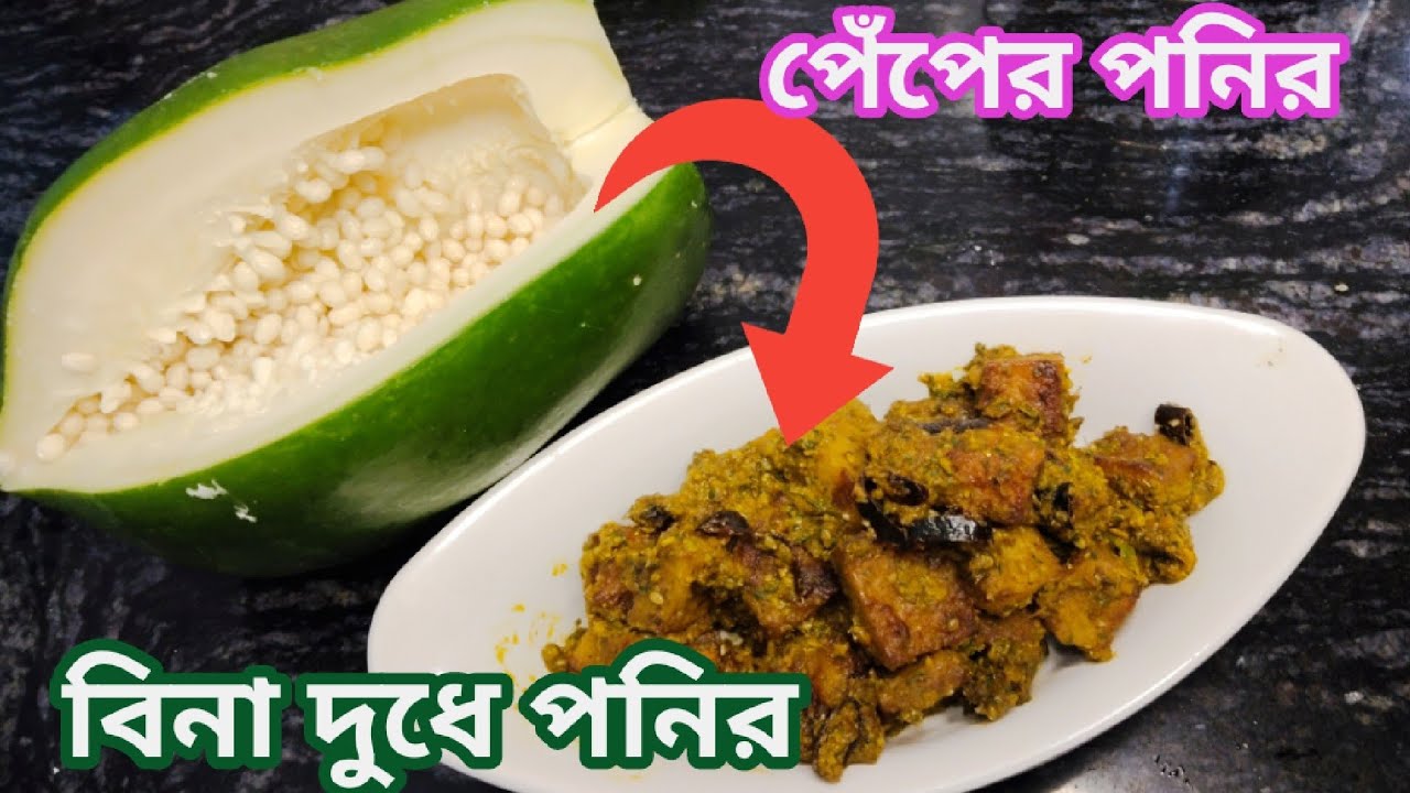 বিনা দুধে পেঁপে দিয়ে পনির।। papaya paneer।। সঠিক মাপ সহ।।