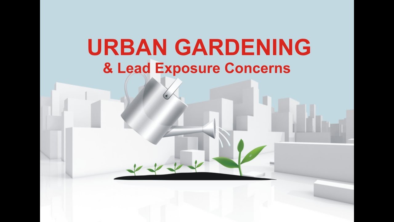 Urban Gardening & Lead Exposure Concerns
