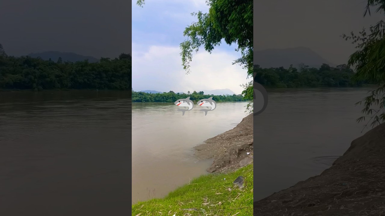 burhi dihing river