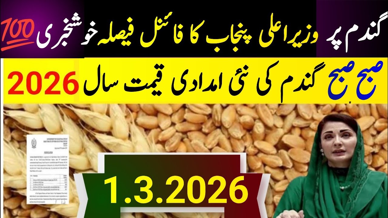 New Wheat Support Price 2026 / گندم کی نئی امدادی قیمت فائنل اعلان 