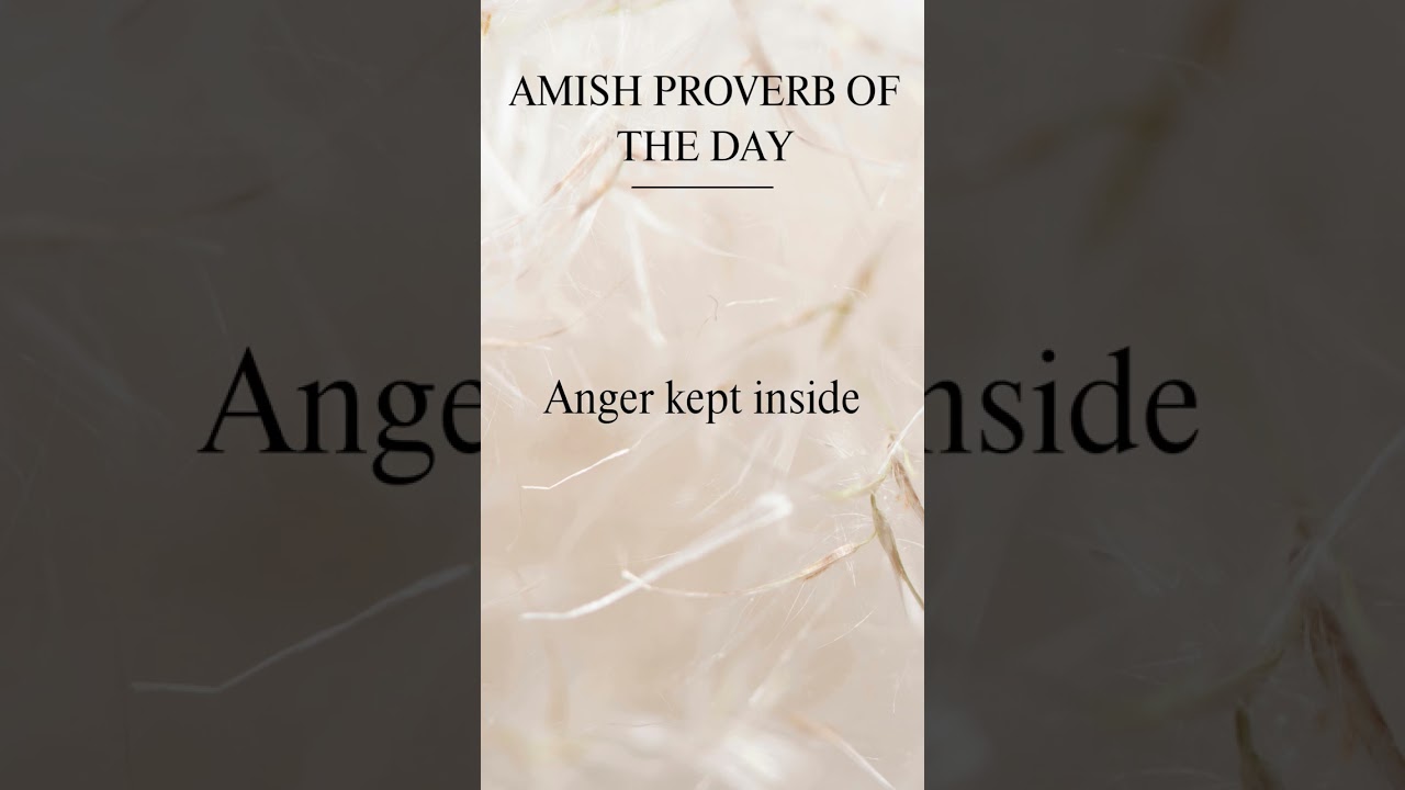 Daily Amish Wisdom! 🏡 A thought to inspire your day. Watch & reflect! ✨