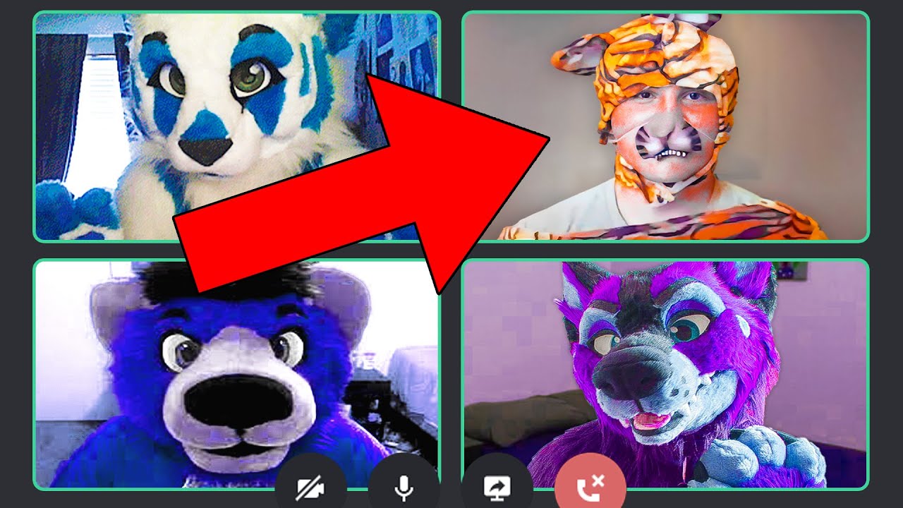 Мы проникли в Furry Discords