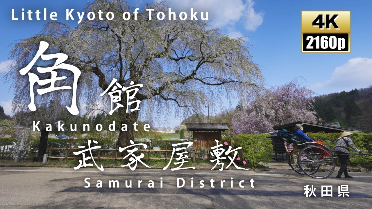 角館武家屋敷　春　stunning views　Japan