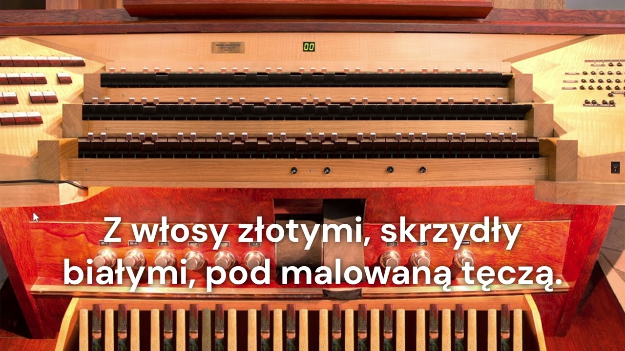 Mizerna cicha