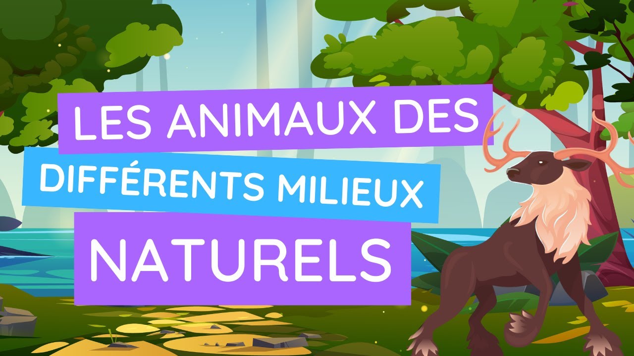 Voyage dans les différents milieux naturels : découvre les animaux qui les peuplent !