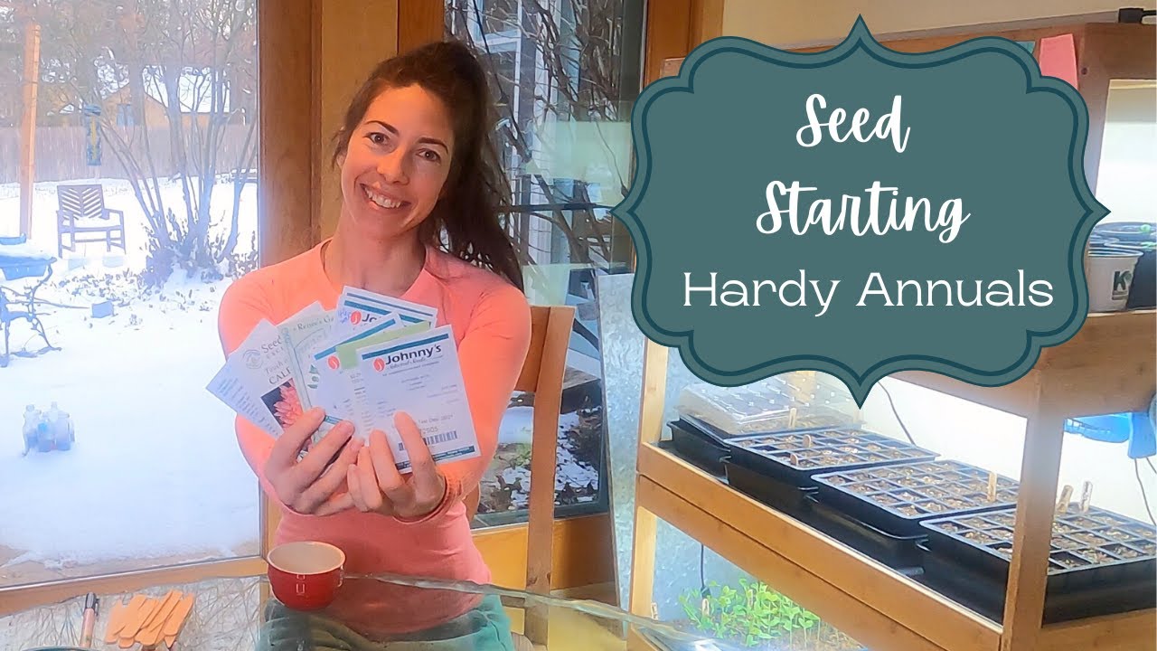 Starting Hardy Annuals From Seed! Bupleurum, Larkspur, Bachelor Buttons, Calendula, and Stock!