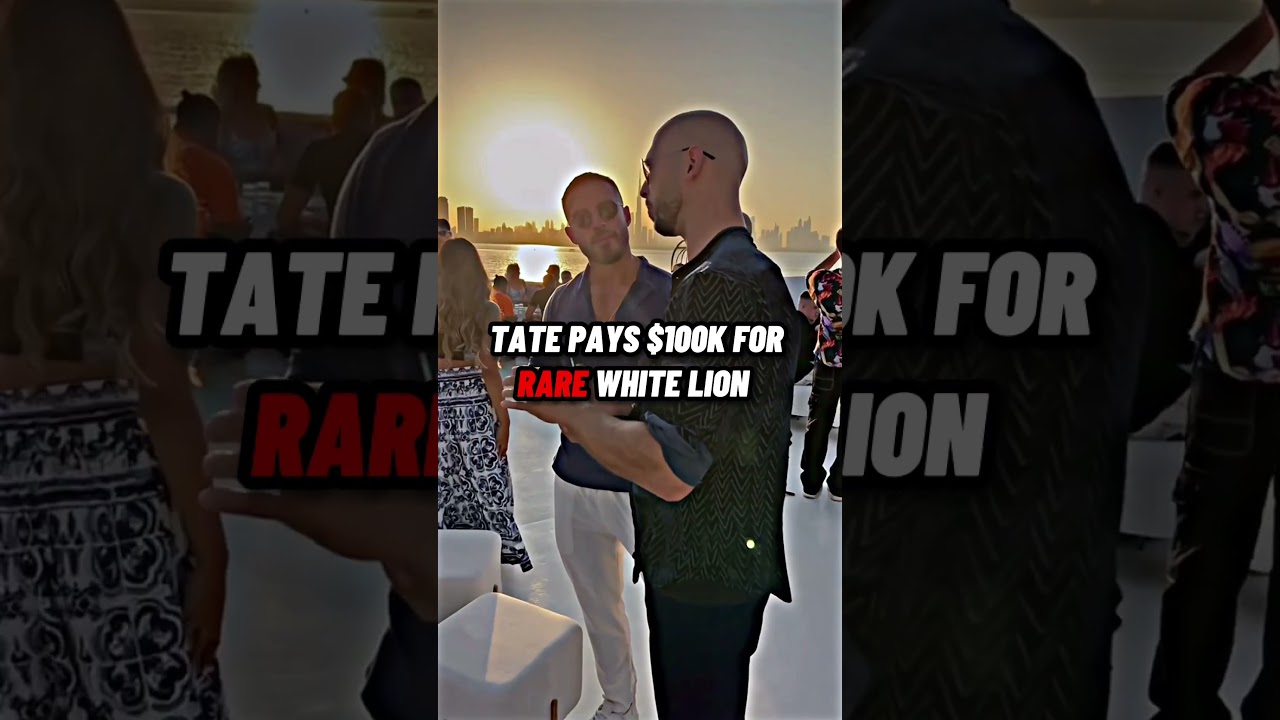 Tate spends $100k for a new exotic pet in Dubai