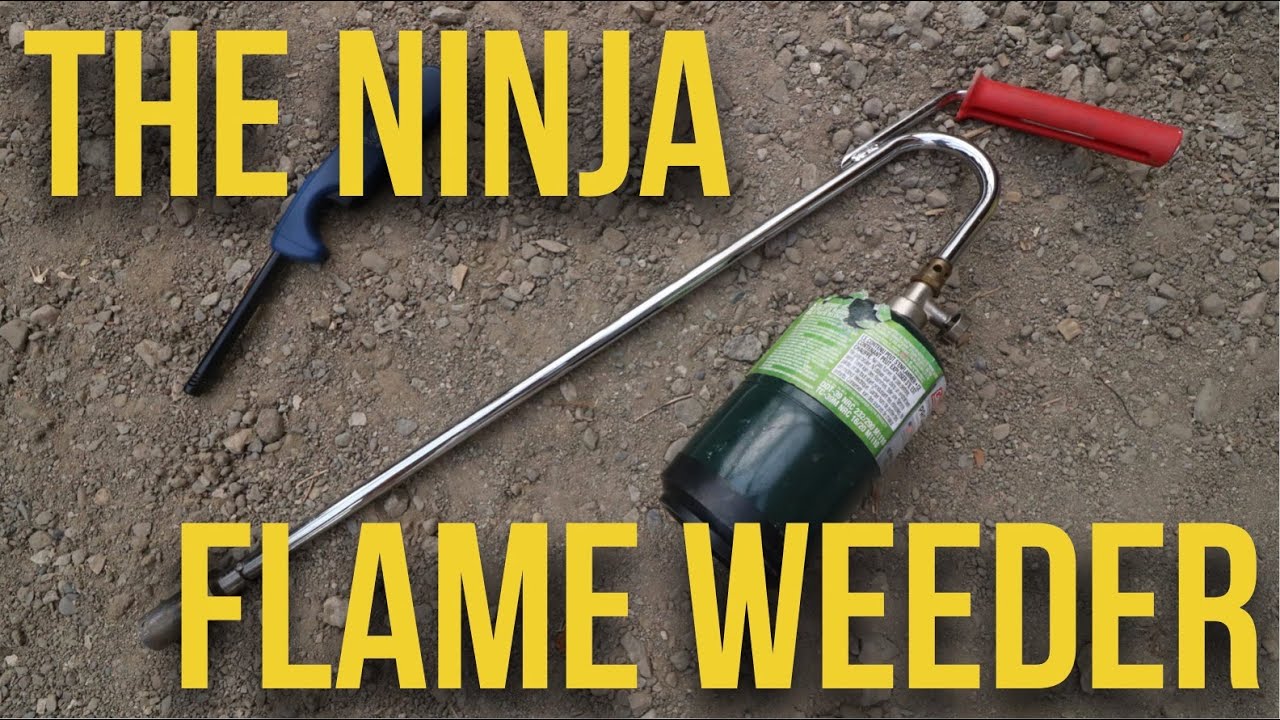 IN FOCUS - The Ninja Flame Weeder