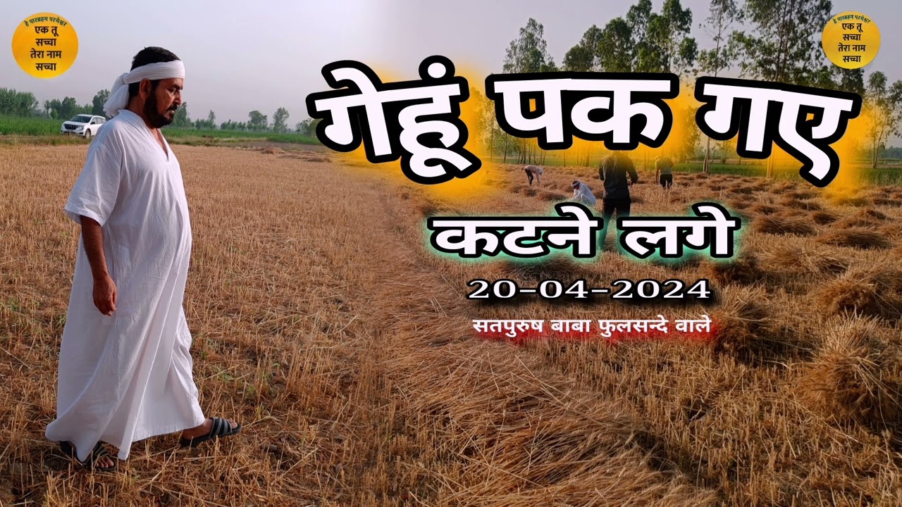 गेहूँ पक गए कटने लगे उड़ने लगे पंछी|| Gehun pak gaye katne lage|| udne lage panchhi|| Ek tu sachcha