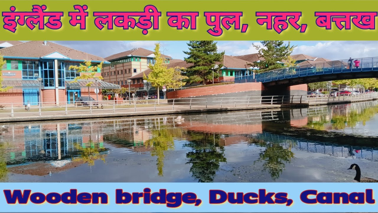 इंग्लैंड में लकड़ी का पुल और नहर में बत्तखें..... Wooden bridge & Ducks in canal 😊🦆