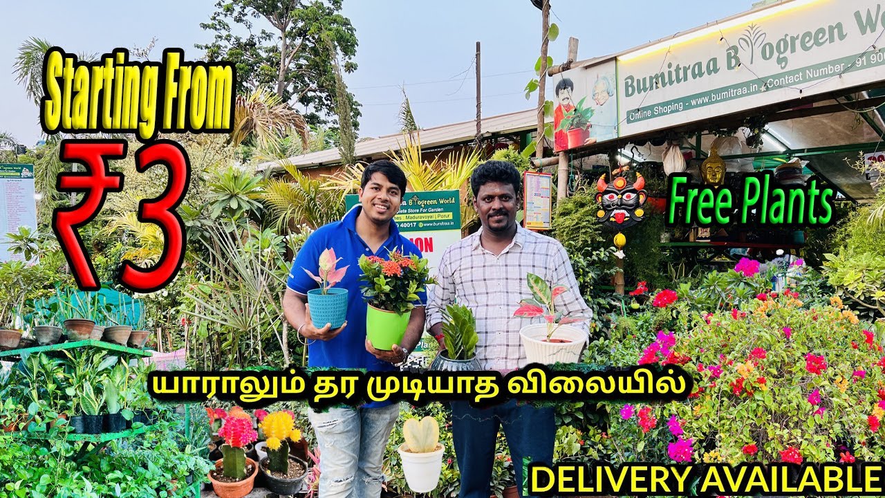ரு 3 முதல் செடிகள்..Cheapest Nursery in chennai/BEST Nursury in chennai TAMIL/FREE PLANT FOR VISITOR