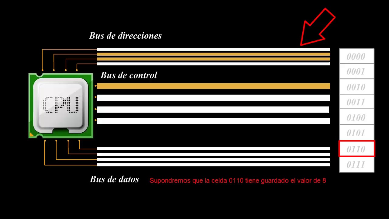 Funcionamiento del procesador intel 8088 y 8086