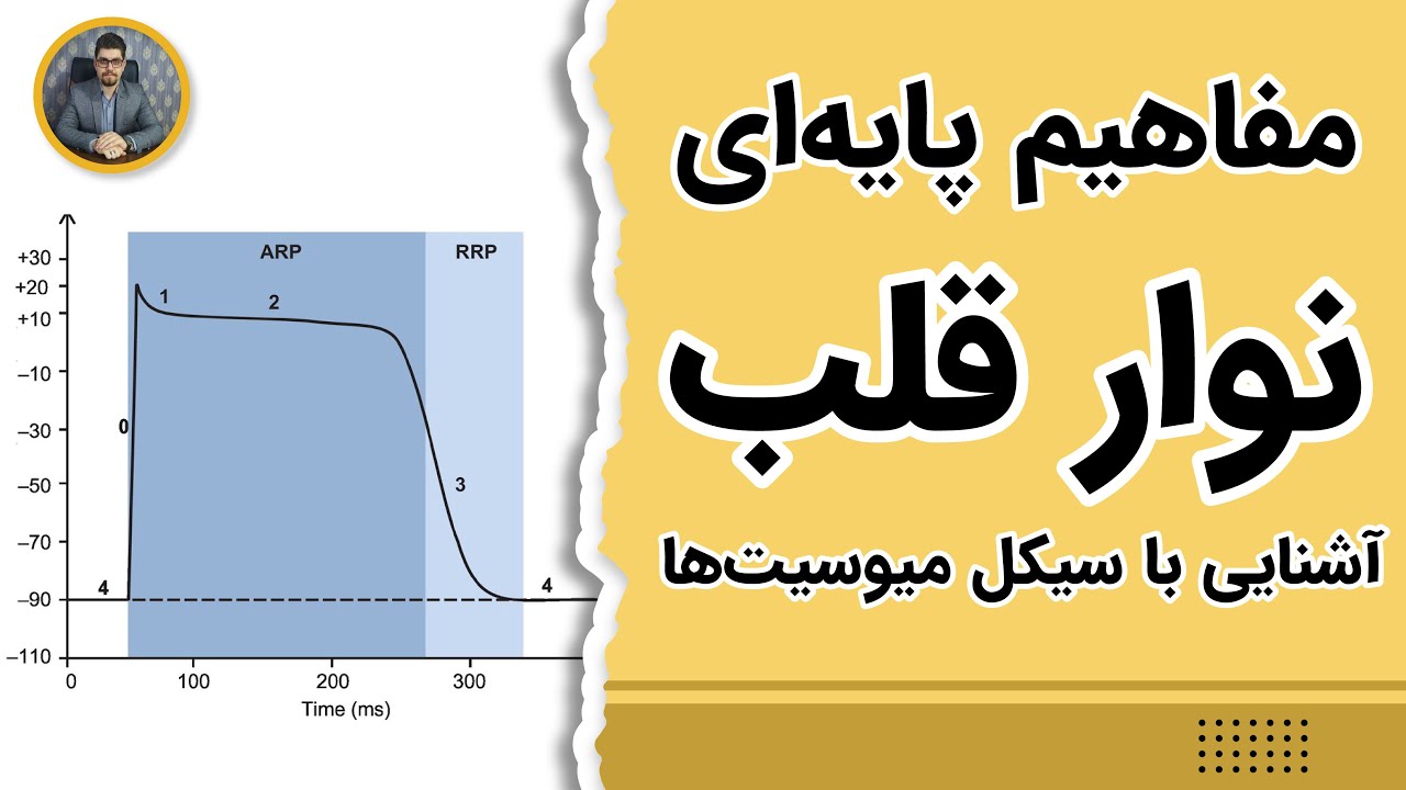 دوره آموزش نوار قلب: قسمت اول - Cardiac electrical activity (1)
