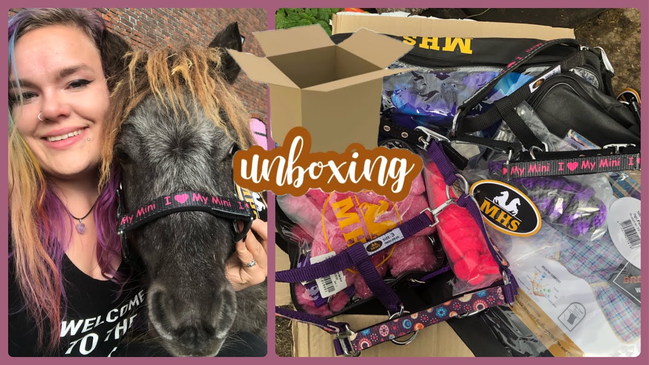 Mini Horse Shop UNBOXING!✨| My Little Ponies