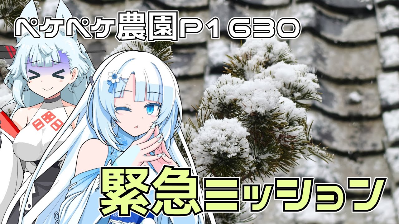 2026年2月8日　農作業日誌P1630　午後からの出稼ぎで、雪が降って降りまくる