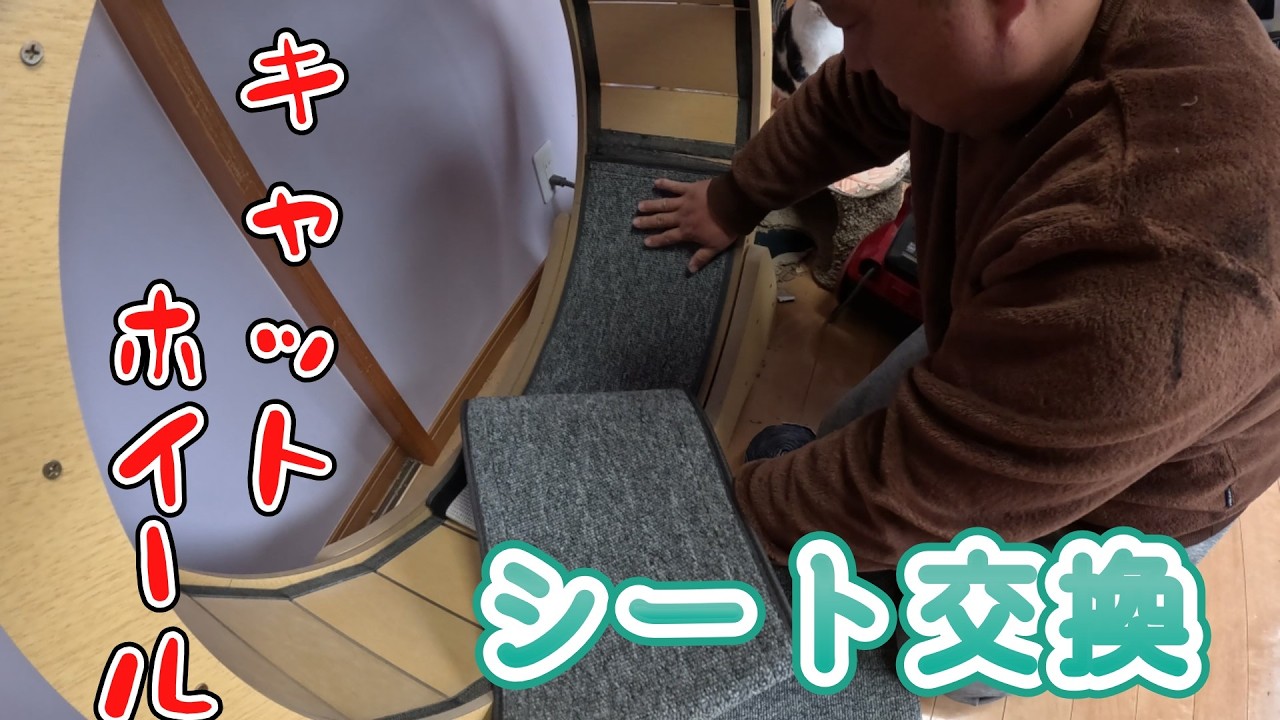 キャットホイールのシートを交換したよ
