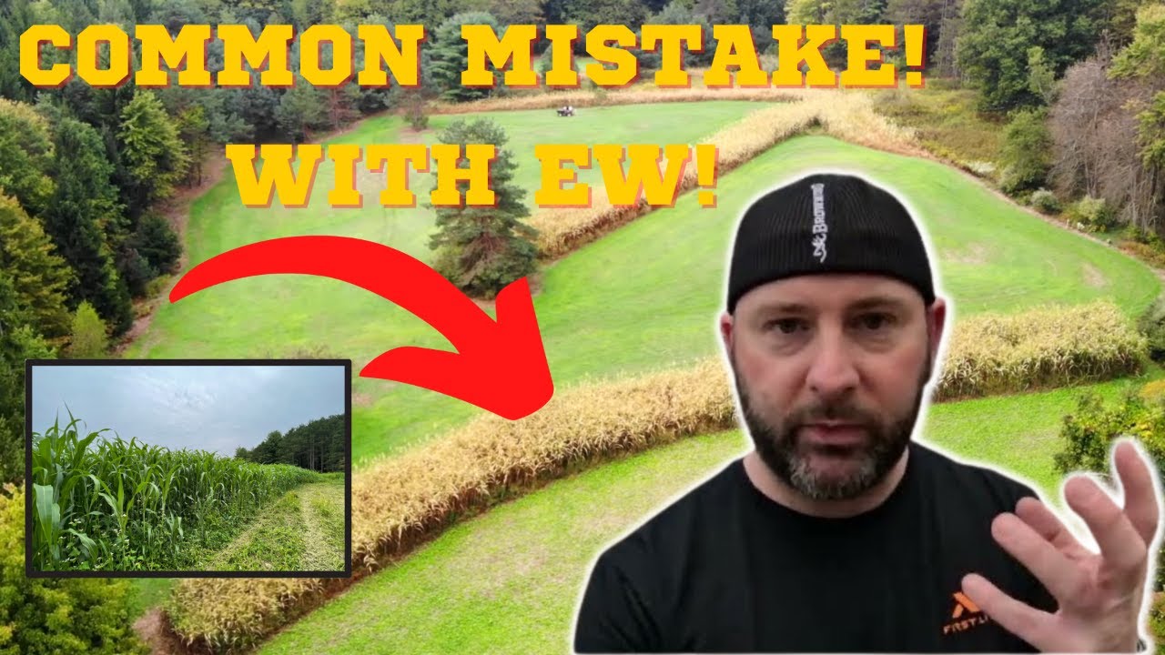 How To Grow Screening For Deer! Avoid This Mistake With EW!