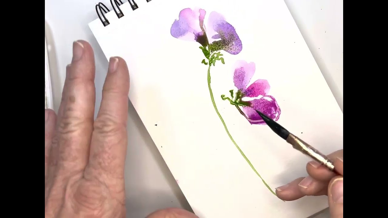 Пошаговое руководство для начинающих: рисуем акварельные цветы: душистый горошек: от наброска до ...