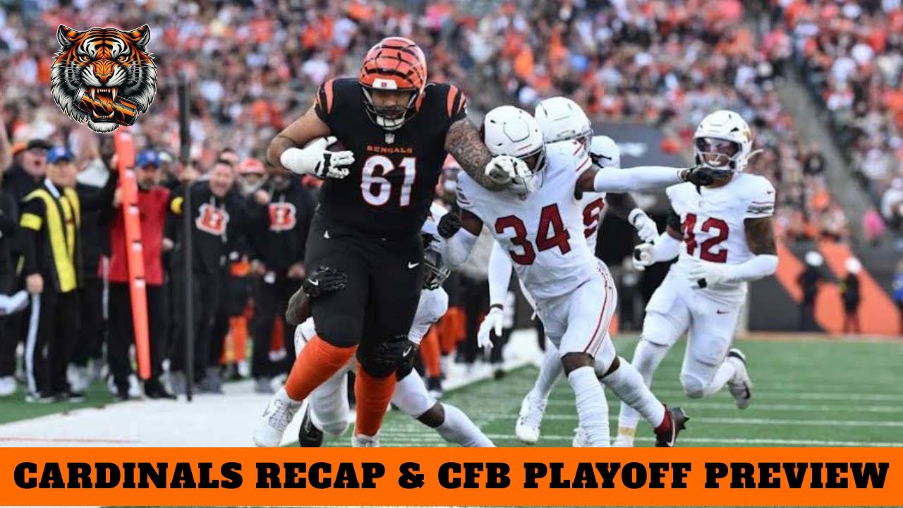 Bengals vs Cardinals Recap
