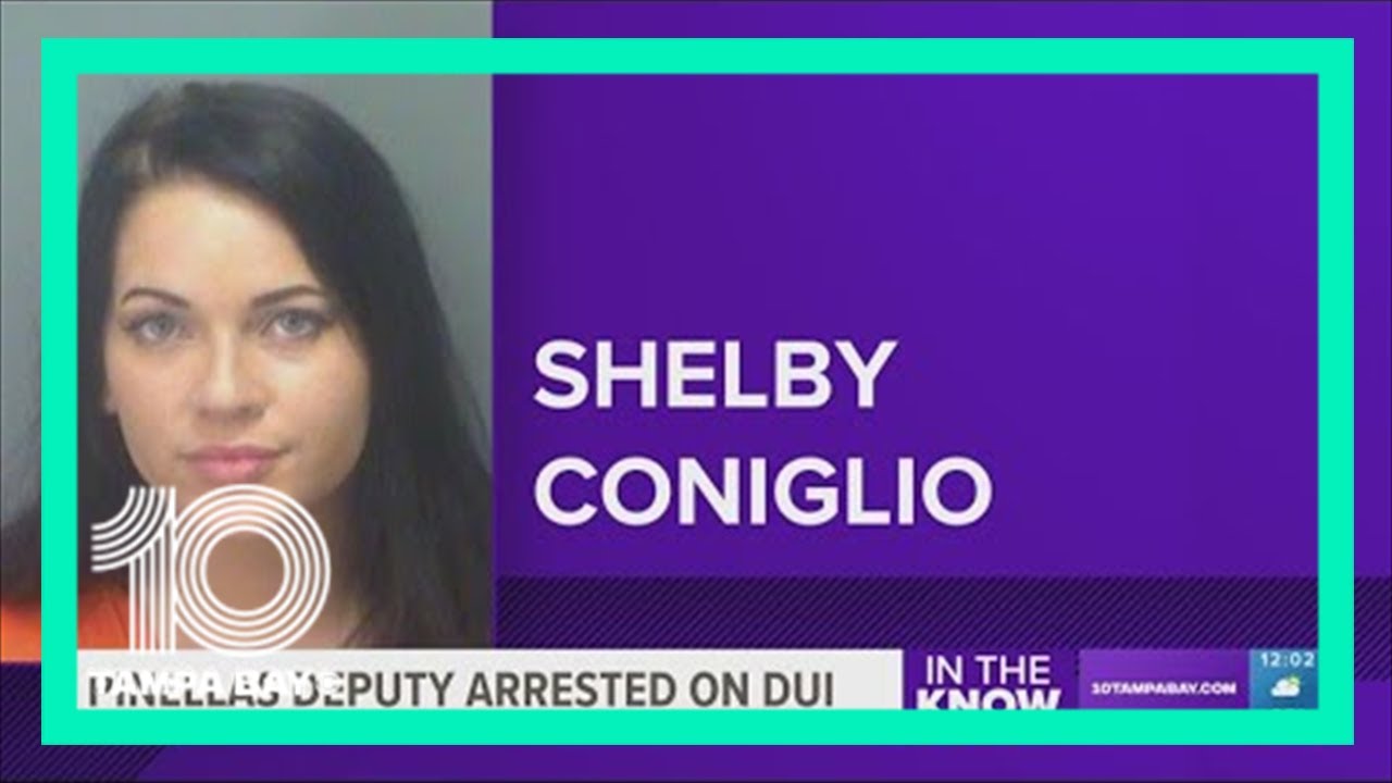 Pinellas County deputy arrested, charged with DUI