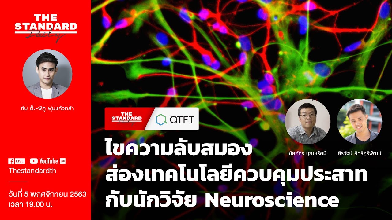 ไขความลับสมอง ส่องเทคโนโลยีควบคุมประสาท กับนักวิจัย Neuroscience | THE STANDARD Daily