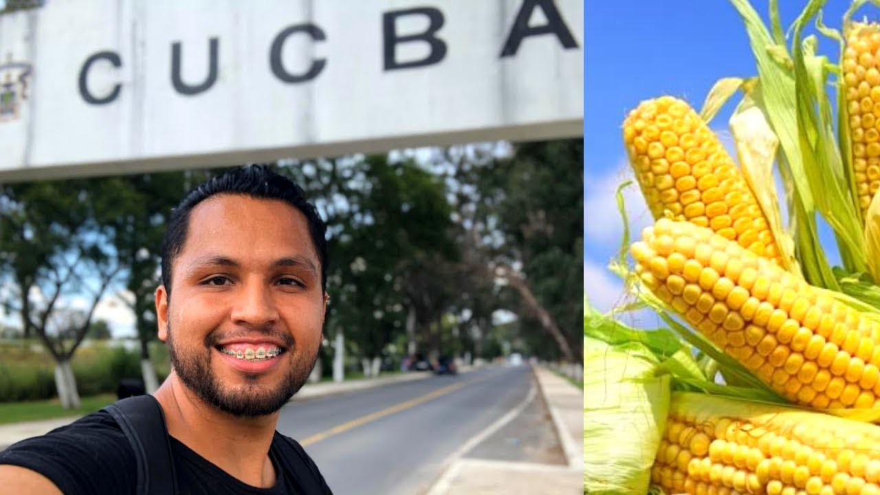 Así es ESTUDIAR en CUCBA UDG PARTE 2, BIOLOGIA, Veterinaria, INSTALACIONES I DAN ROD´ 🐕🐄🌽