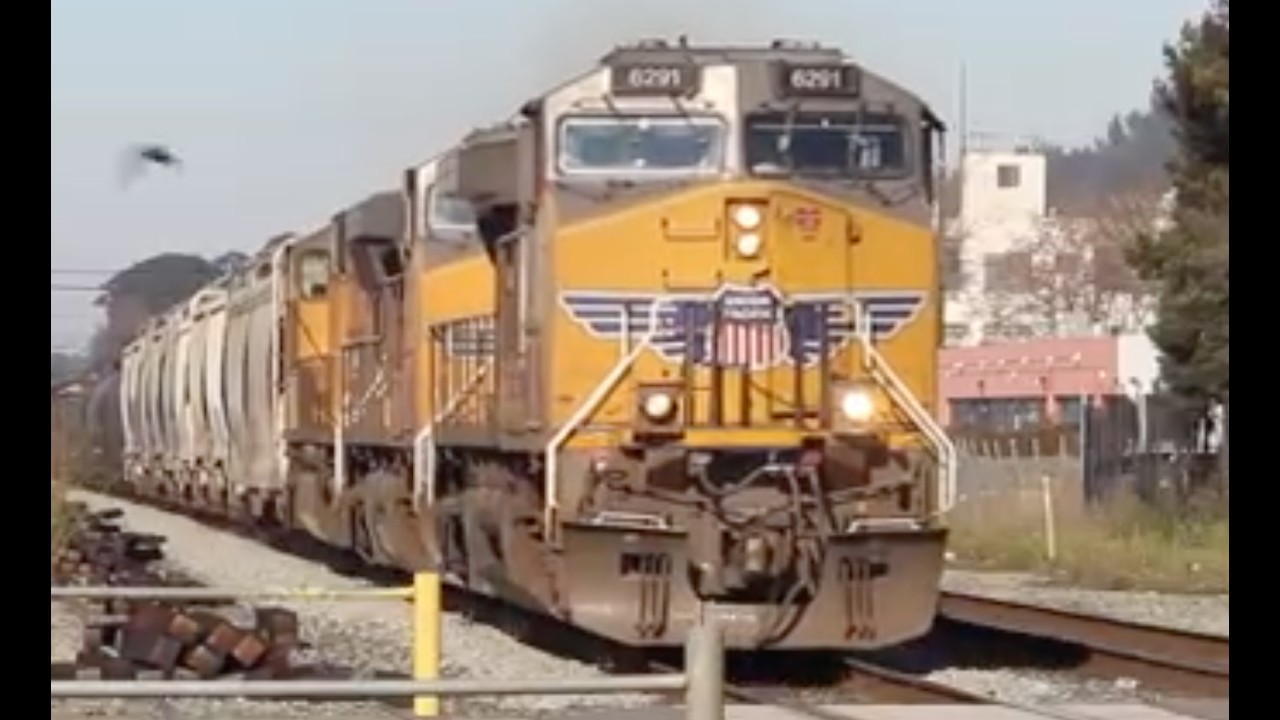 Non Stop Freights in Berkeley, CA!