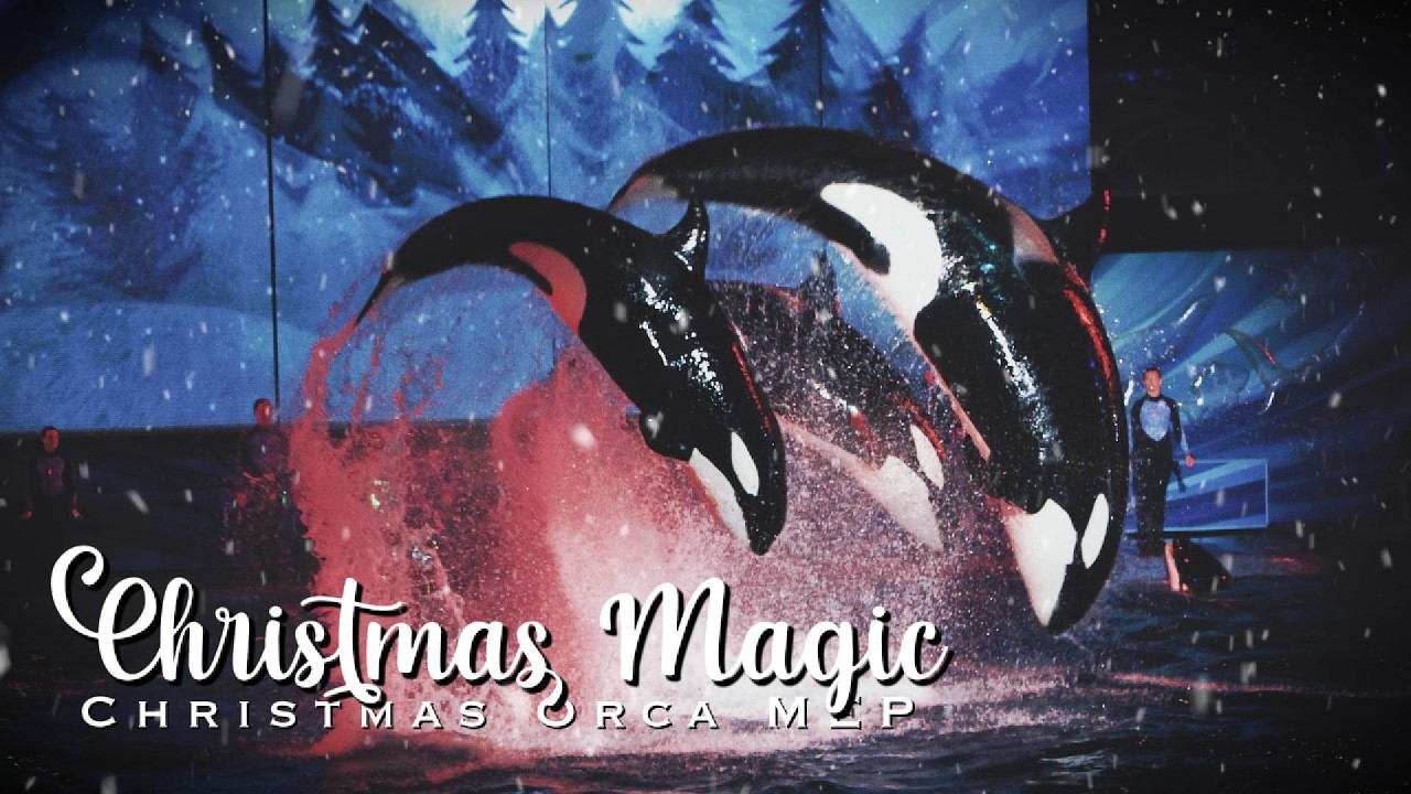 𝐂𝐇𝐑𝐈𝐒𝐓𝐌𝐀𝐒 𝐌𝐀𝐆𝐈𝐂 || Christmas Orca MEP