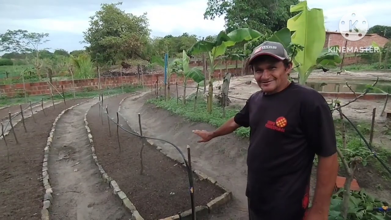 Horta mandala sistema de irrigação simples e funcional