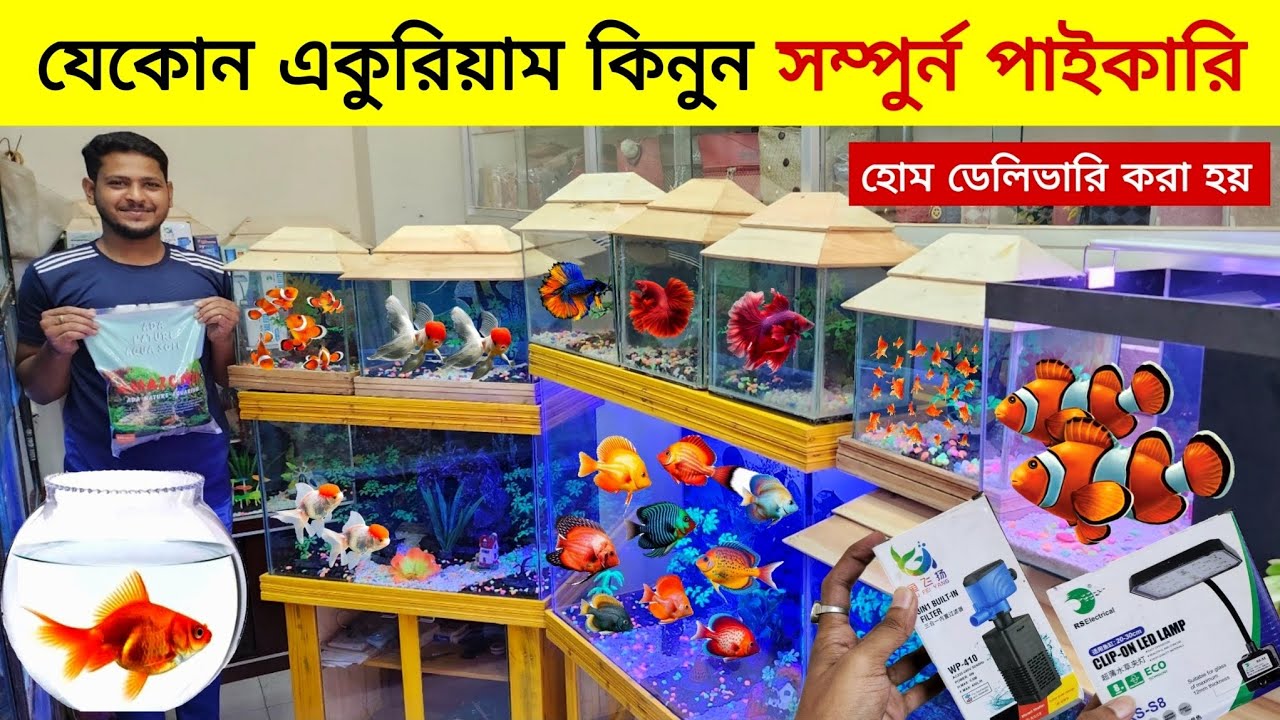 Aquarium Fish Price 2025 |🐠🐠Aquarium Fish Price | Aquarium | Aquarium Fish Price In BD 2025🐠🐠